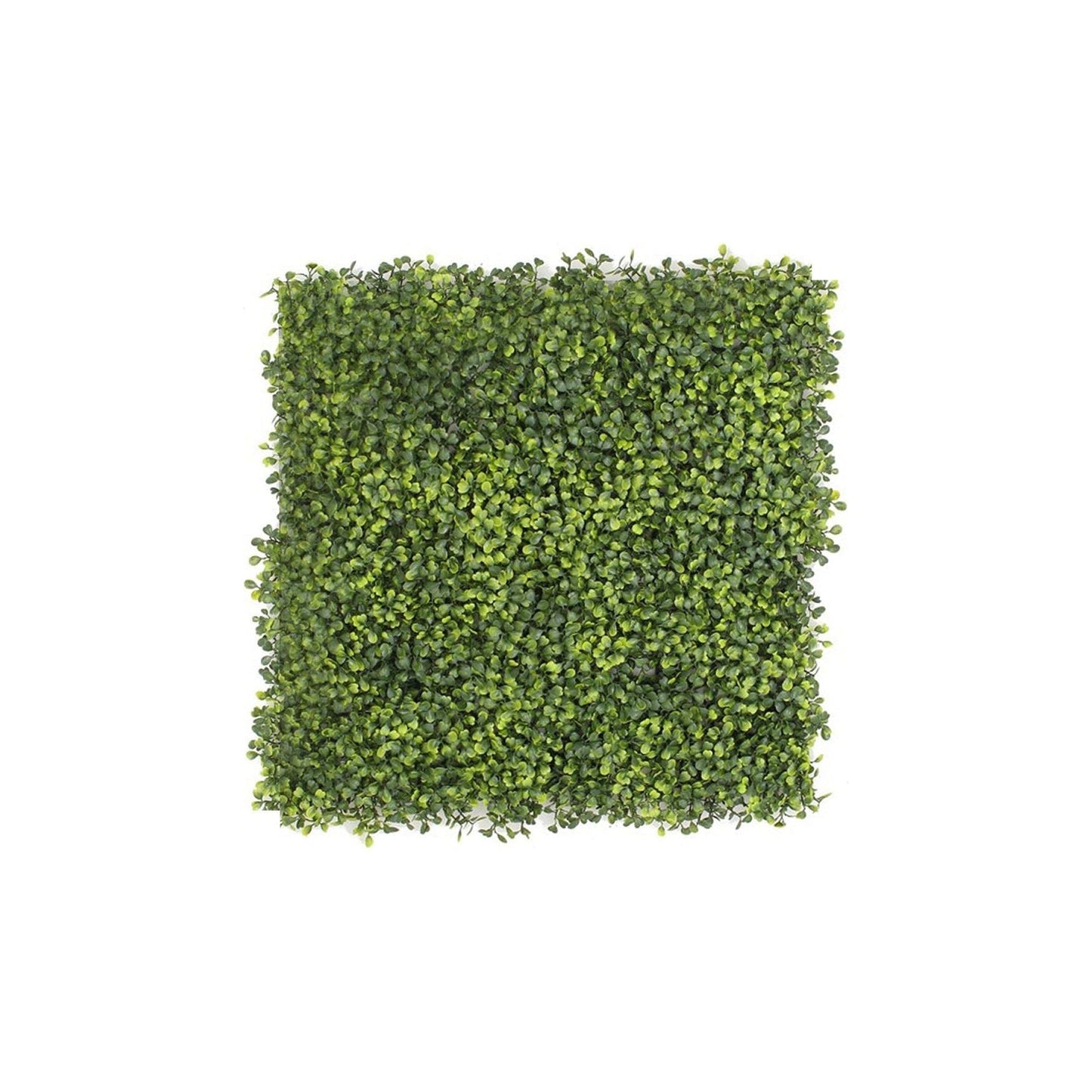 BOXWOOD Artificial Living Wall (per sq mtr)